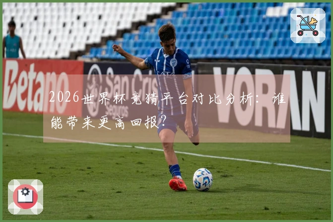 2026世界杯竞猜平台对比分析：谁能带来更高回报？