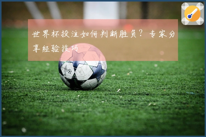 世界杯投注如何判断胜负？专家分享经验技巧