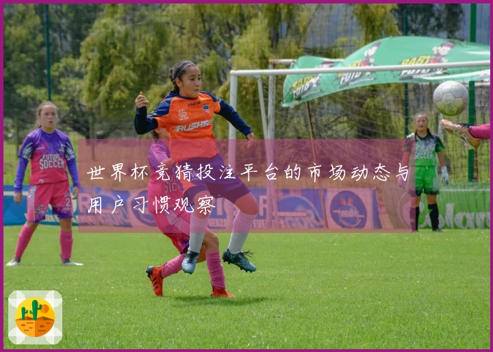 世界杯竞猜投注平台的市场动态与用户习惯观察