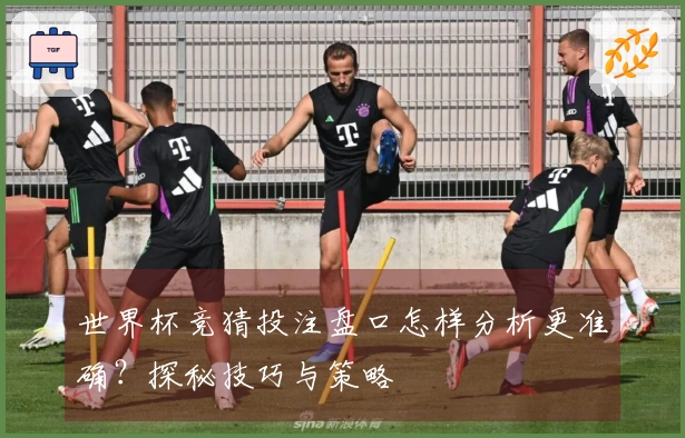 世界杯竞猜投注盘口怎样分析更准确？探秘技巧与策略