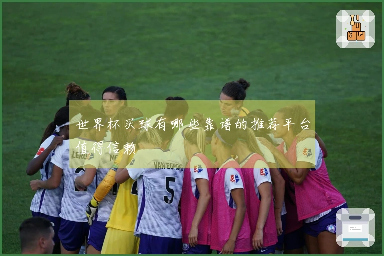 世界杯买球有哪些靠谱的推荐平台值得信赖