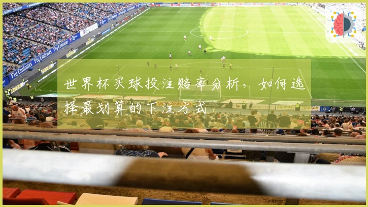 世界杯买球投注赔率分析，如何选择最划算的下注方式